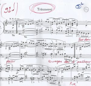 partition-schumann